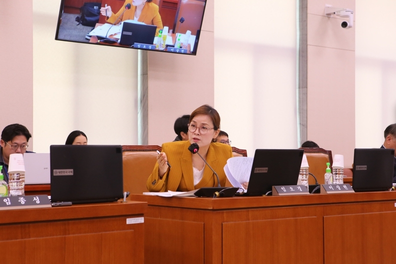 임오경 국회의원, '한류산업발전 진흥법안' 국회 공청회 개최(사진제공=임오경 의원실)