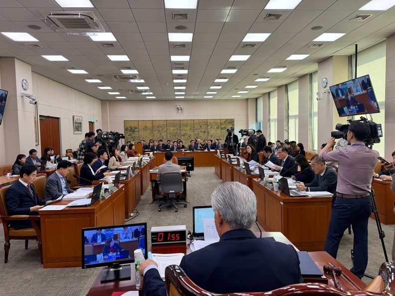 국회문화체육관광위 국정감사장(사진제공=임오경 의원실)