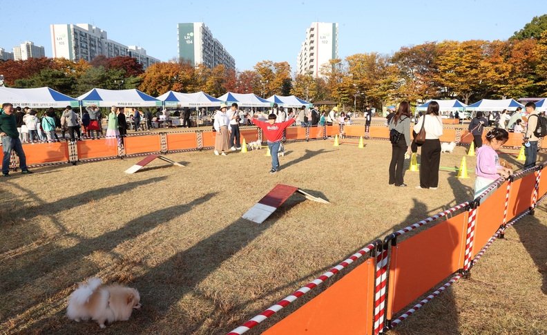 광명시가 지난 28일 주최한 반려동물 문화축제가 3천여 시민과 반려견의 호응 속에 막을 내렸다.