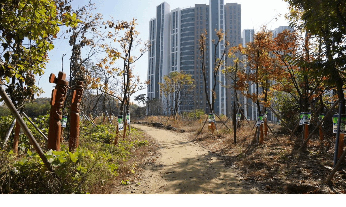 오색둘레길 2코스 석산숲길