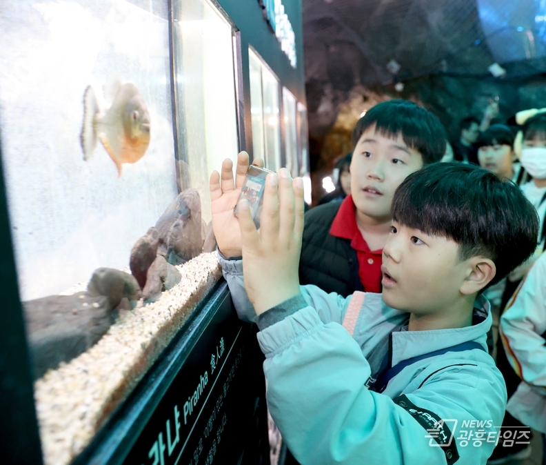 광명시는 지난 11일 제2기 꿈꾸는기자단과 학부모 60여 명을 초청해 광명동굴 탐방 행사를 진행했다