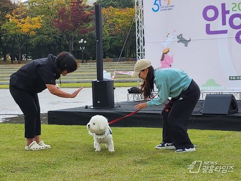 2023년 안양시 반려동물 축제 현장