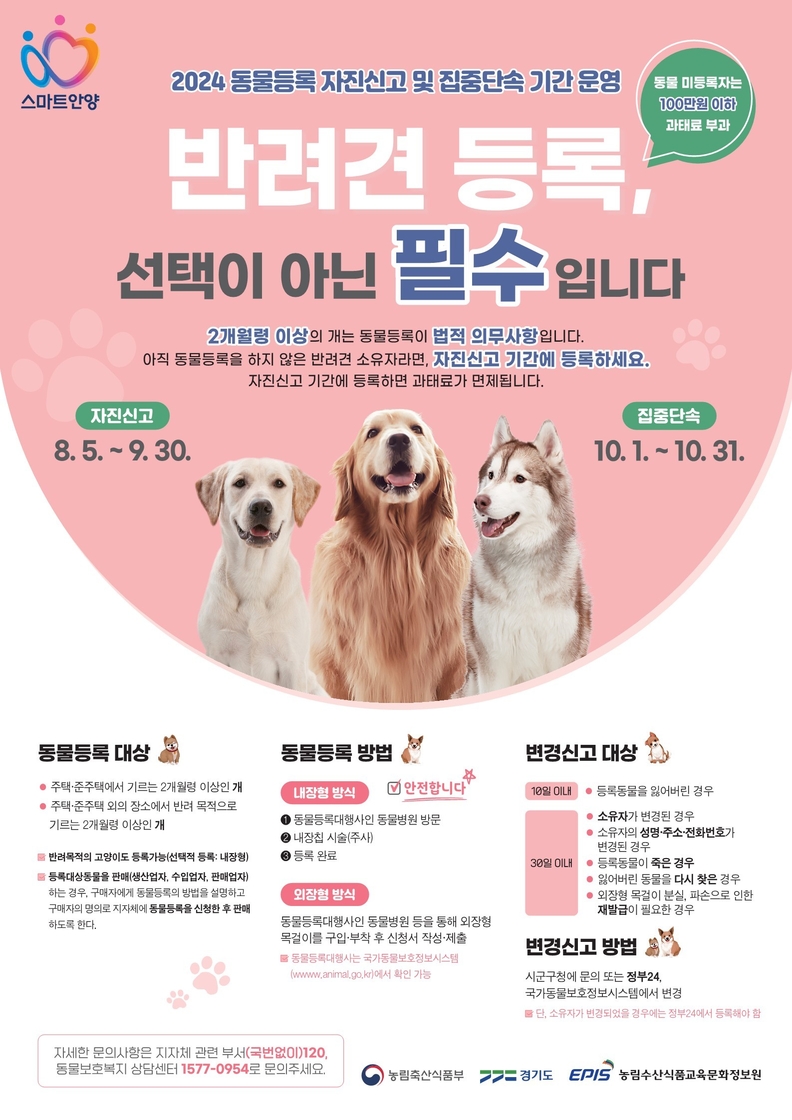 안양시_동물등록자진신고_포스터