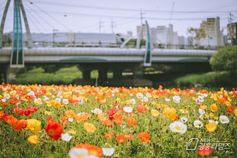 오산시, 오산천 따라 시민과 함께하는 자연 나들이