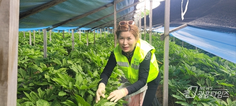 우루루시민안전봉사단, 농촌 일손돕기 봉사활동 펼쳐