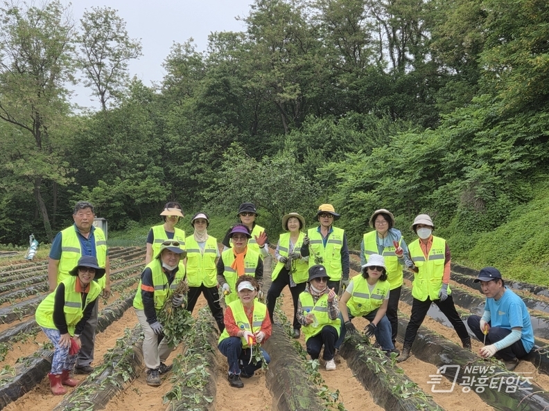 우루루시민안전봉사단, 무더위와 싸우며 농가일손돕기 나서