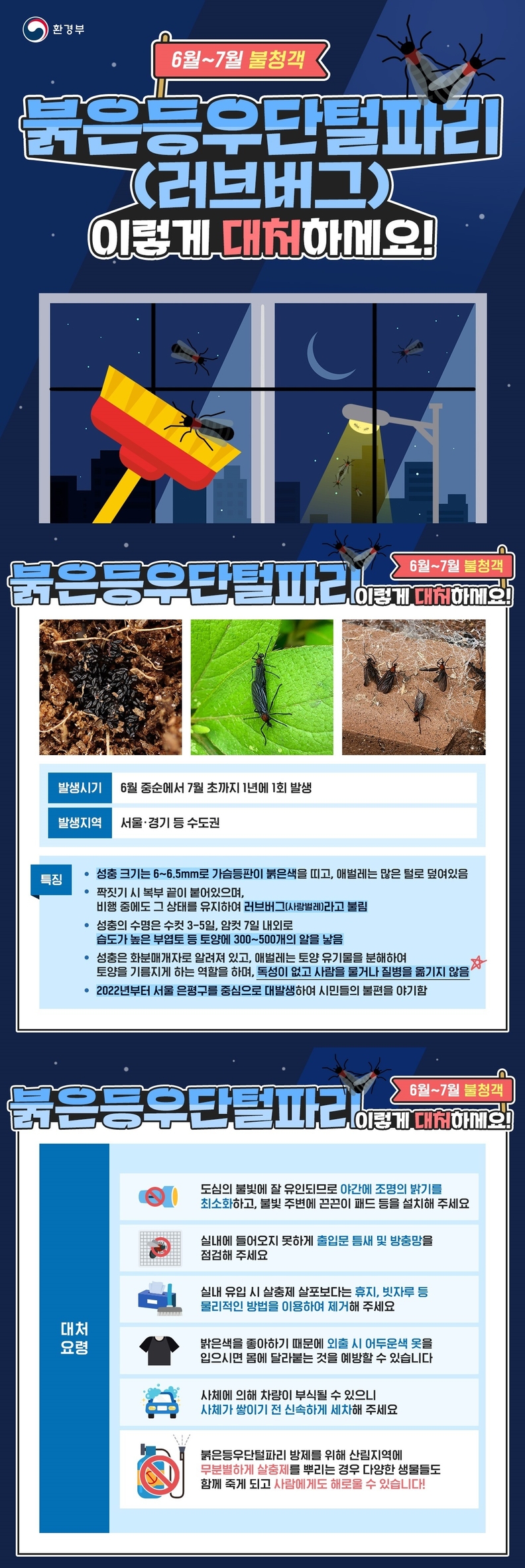 러브버그대처요령