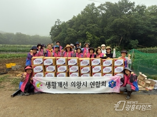 의왕시 생활개선회, 정성껏 수확한 감자로 이웃사랑 실천