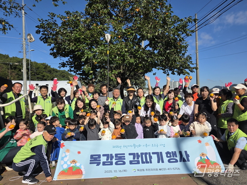 시흥시 목감동 주민자치회 '가을의 풍요로움' 감 따기 행사 성료