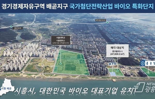 시흥시, 경제자유구역 배곧지구 연구용지 1-1, 외국인투자기업 대상 분양 재공모!