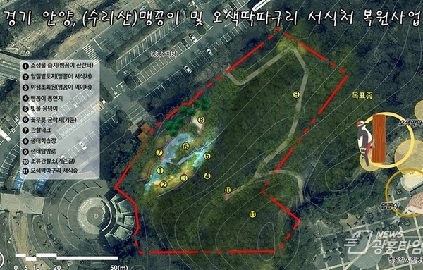 안양시, 병목안시민공원 맹꽁이·오색딱따구리 서식처 복원…국비 4.4억 확보!