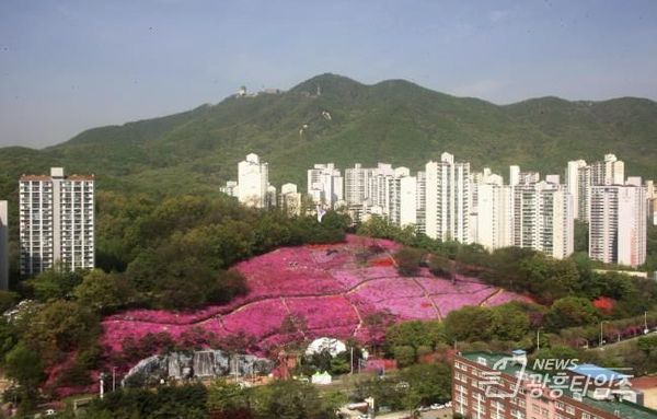 군포시, 토지 개별공시지가 결정·공시 및 이의신청 안내!