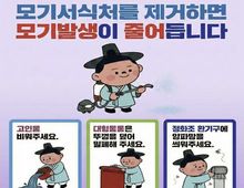 안산시, 사계절 빈틈없는 방역 체계 가동… 모기 매개 감염병 선제 차단