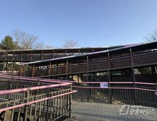 부천시, 원미산 진달래동산 '무장애 데크로드' 개방!