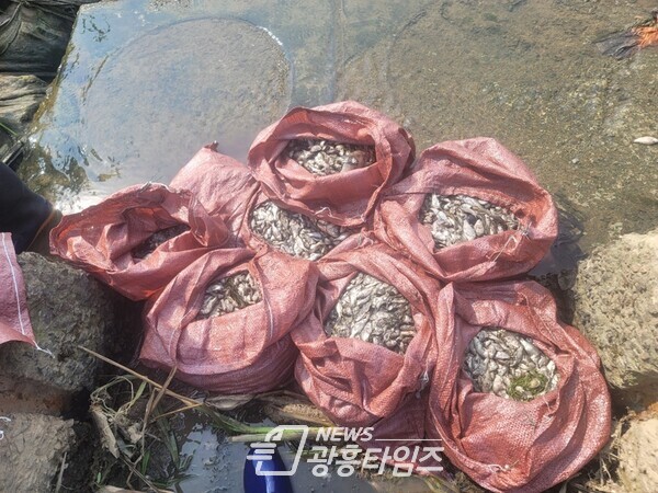 산업폐수 등 불법 배출행위 수사현장2(사진제공=경기도) 산업폐수 등 불법 배출행위 수사현장2(사진제공=경기도)