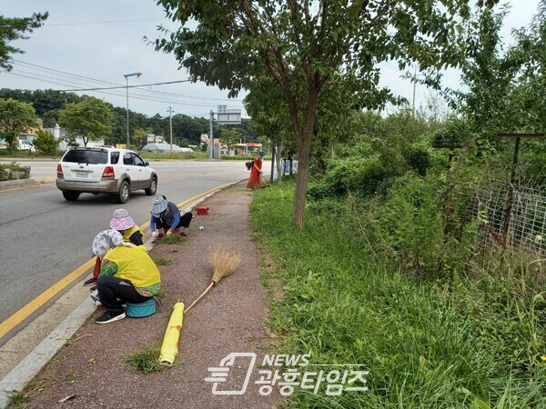 군자동_제초작업(사진제공=시흥시) 군자동_제초작업(사진제공=시흥시)
