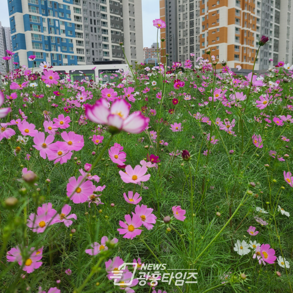 도시농업공원(사진제공=시흥시) 도시농업공원(사진제공=시흥시)