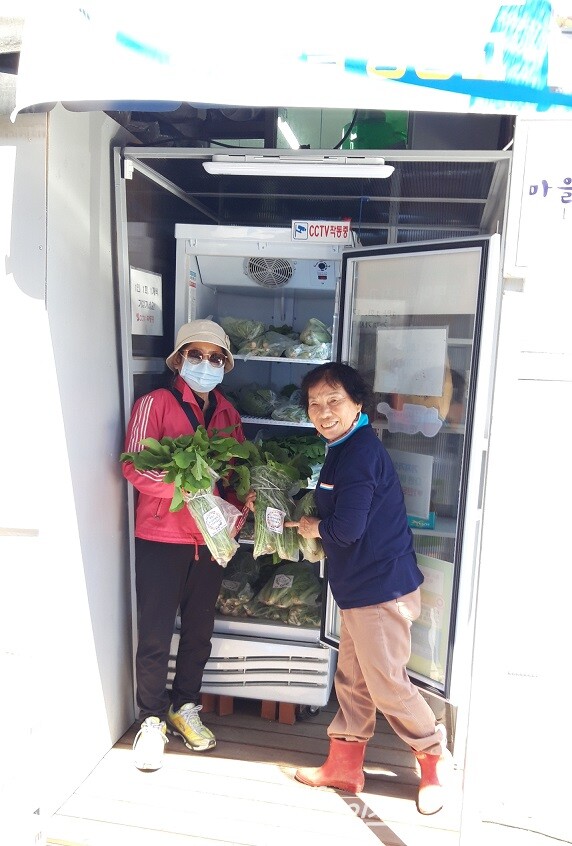 광명시 노인위원회는 지난 4일 건강증진분과 위원들이 광명 주말농장과 인근 텃밭에서 수확한 열무 68봉지를 광명 마을 냉장고에 기증했다(제공=광명시) 광명시 노인위원회는 지난 4일 건강증진분과 위원들이 광명 주말농장과 인근 텃밭에서 수확한 열무 68봉지를 광명 마을 냉장고에 기증했다(제공=광명시)