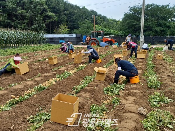 생활개선회 감자기증(사진제공=의왕시) 생활개선회 감자기증(사진제공=의왕시)