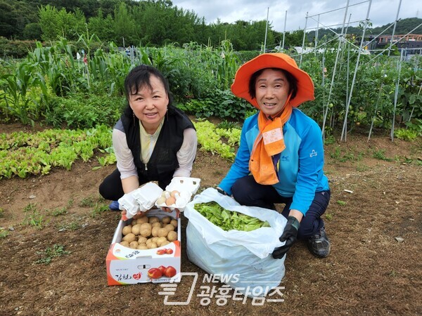 광명시(시장 박승원)는 친환경 영농을 체험할 수 있는 도심 속 휴식 공간인 시민주말농장에서 수확한 농산물 등을 지역사회를 위해 기부했다고 30일 밝혔다(제공=광명시) 광명시(시장 박승원)는 친환경 영농을 체험할 수 있는 도심 속 휴식 공간인 시민주말농장에서 수확한 농산물 등을 지역사회를 위해 기부했다고 30일 밝혔다(제공=광명시)
