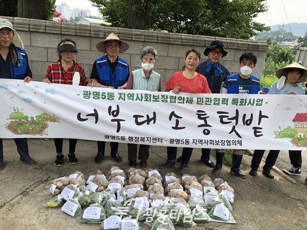 광명5동 지역사회보장협의체는 6일 너부대 소통텃밭에서 지역 주민과 함께 수확한 감자 오이 상추 고추 등을 관내 한끼나눔박스에 기부했다(제공=광명5동 행정복지센터) 광명5동 지역사회보장협의체는 6일 너부대 소통텃밭에서 지역 주민과 함께 수확한 감자 오이 상추 고추 등을 관내 한끼나눔박스에 기부했다(제공=광명5동 행정복지센터)