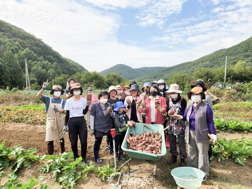 군포시민농부학교, 고구마기부(사진제공=군포1동 주민센터) 군포시민농부학교, 고구마기부(사진제공=군포1동 주민센터)