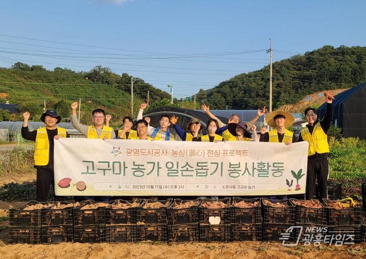광명도시공사, 고구마 농가 일손돕기 봉사활동 나서