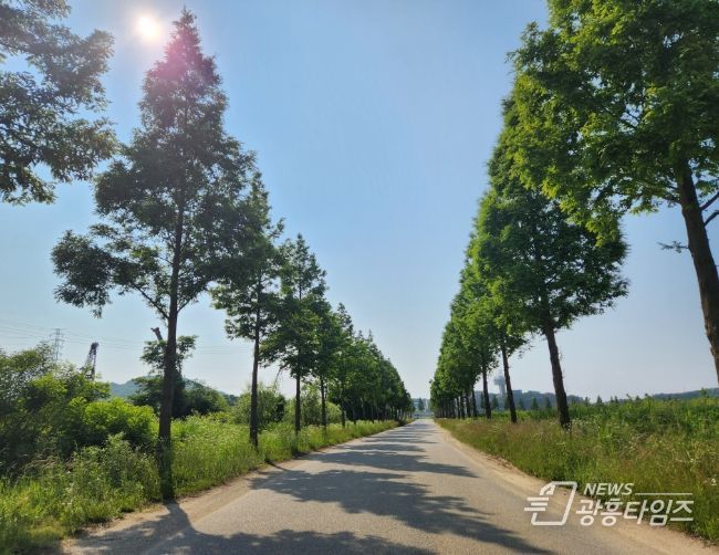 안산시,‘대부바다향기테마파크’용도 확대… 예술품 전시 가능해진다