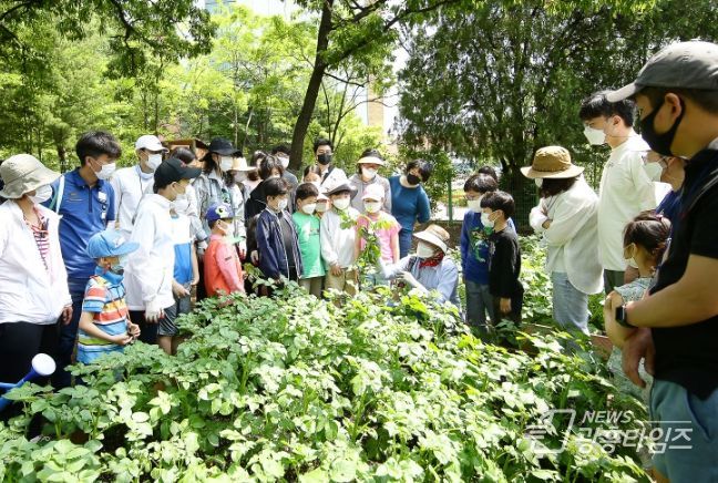 의왕시, 2024년 가막들공원 온가족텃밭교실 참여가족 모집
