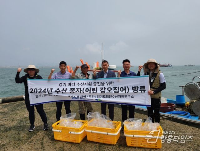 시흥시, 경기도와 갑오징어 종자 시험 방류...수산자원 증대 도모