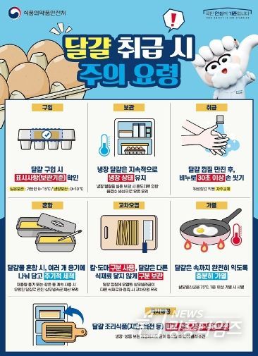 달걀 취급시 주의요령 포스터