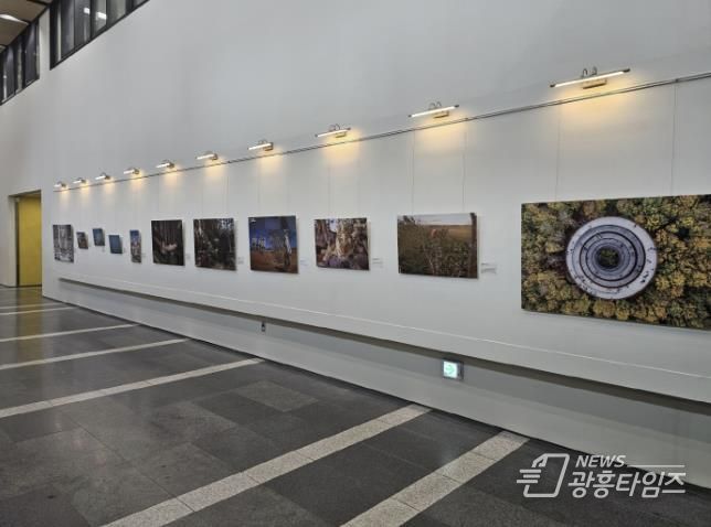 시흥시 배곧도서관, ‘내셔널 지오그래픽’과 협업 이벤트 진행