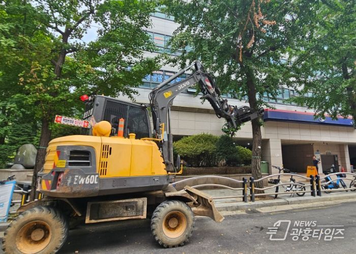 광명시가 가을철 은행나무 열매의 냄새로 인한 시민들의 불편을 해소하고 보행 환경을 보다 쾌적하게 조성하기 위해 올해부터 은행나무 열매 진동수확기를 도입했다고 15일 밝혔다.