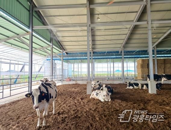 경기도, ‘가축행복농장 인증제’ 2025년 신규 신청 접수