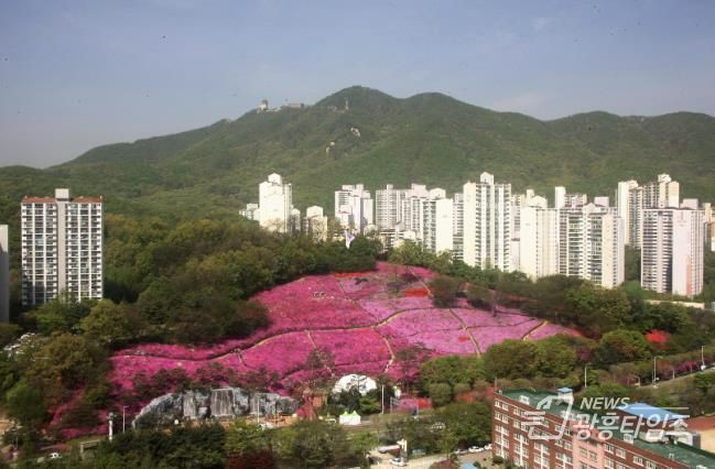 군포철쭉동산