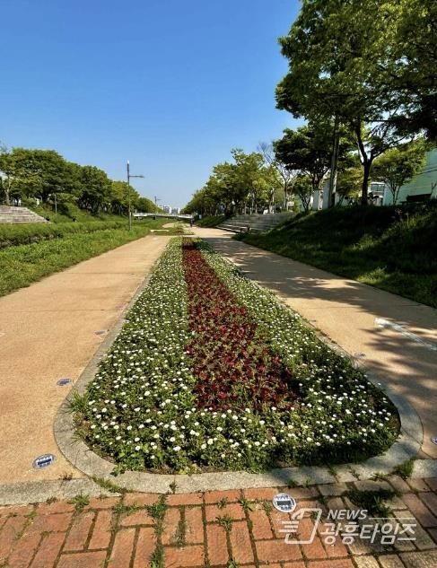 안산시, 봄꽃 만개한 안산천·화정천 산책로에 시민 발길 이어져