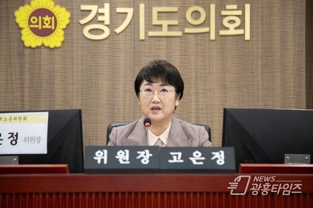 고은정 위원장(더불어민주당, 고양10)