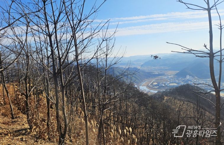 청송군, 산불피해지 대체작물조성 시범사업 시행