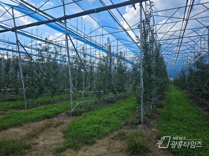 노지 스마트 기술 경북 확산 선도