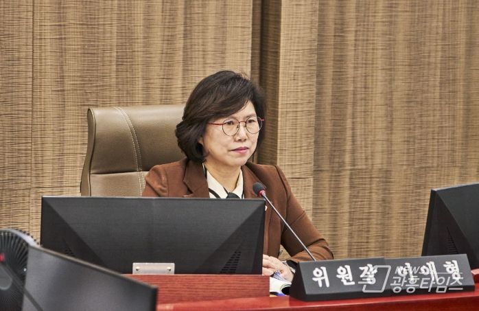 경기도의회 이애형 의원